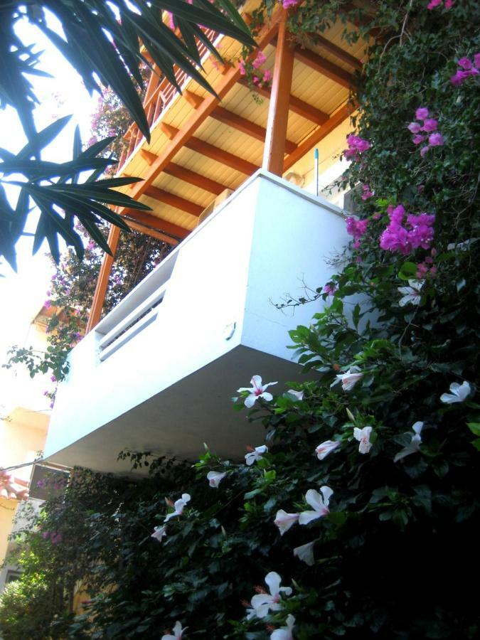 Corina Apartments 锡蒂亚 外观 照片